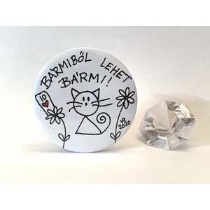 Hűtőmágnes: Bármimacska megmondja