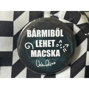 Bármiből lehet macska kitűző