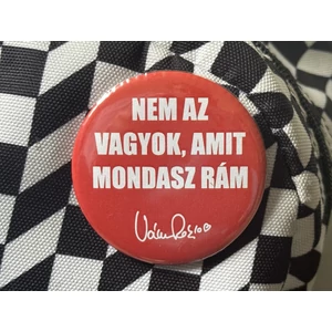 Nem az vagyok, amit mondasz rám kitűző