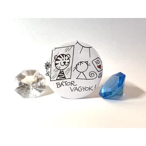 Hűtőmágnes: Bátor vagyok!