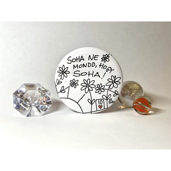 Hűtőmágnes: Soha ne mondd, hogy soha!