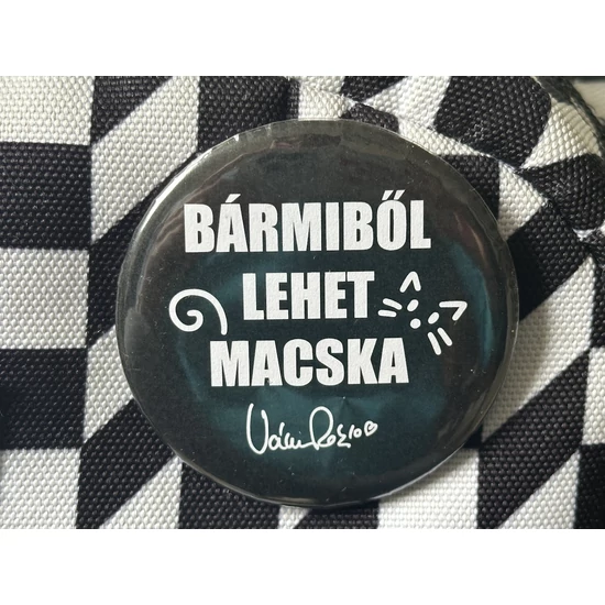 Bármiből lehet macska kitűző